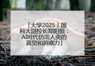 大学2025丨国科大副校长郑阳恒：AI时代仍需人类的直觉和洞察力