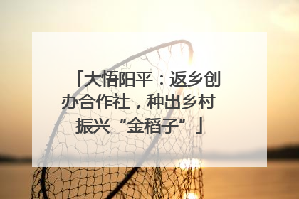 大悟阳平：返乡创办合作社，种出乡村振兴“金稻子”