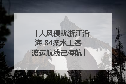大风侵扰浙江沿海 84条水上客渡运航线已停航