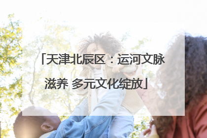 天津北辰区：运河文脉滋养 多元文化绽放