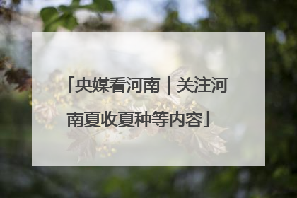 央媒看河南｜关注河南夏收夏种等内容