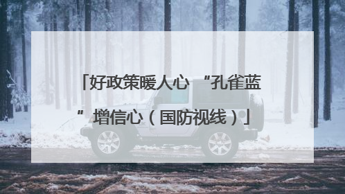 好政策暖人心 “孔雀蓝”增信心（国防视线）