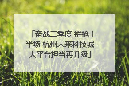 奋战二季度 拼抢上半场 杭州未来科技城大平台担当再升级