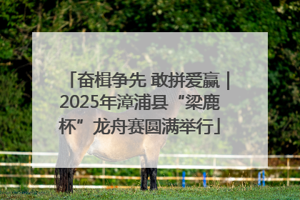 奋楫争先 敢拼爱赢｜2025年漳浦县“梁鹿杯”龙舟赛圆满举行