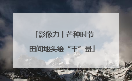 影像力丨芒种时节 田间地头绘“丰”景