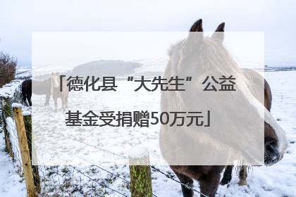 德化县“大先生”公益基金受捐赠50万元