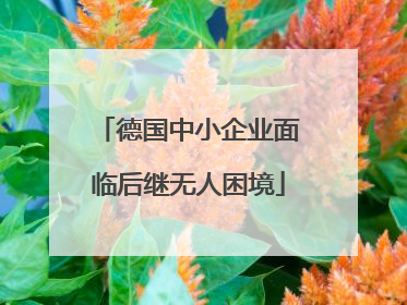德国中小企业面临后继无人困境