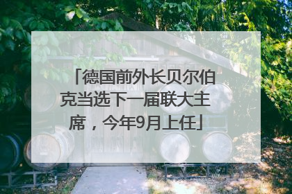 德国前外长贝尔伯克当选下一届联大主席，今年9月上任