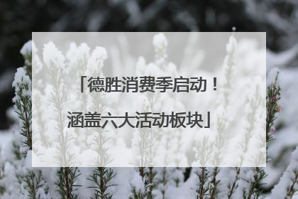 德胜消费季启动！涵盖六大活动板块