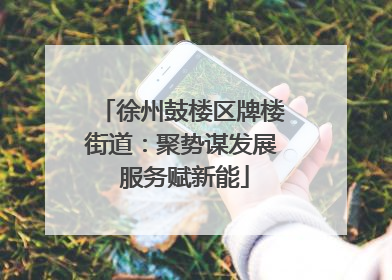 徐州鼓楼区牌楼街道：聚势谋发展 服务赋新能
