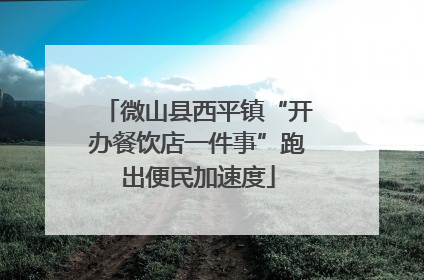 微山县西平镇“开办餐饮店一件事”跑出便民加速度