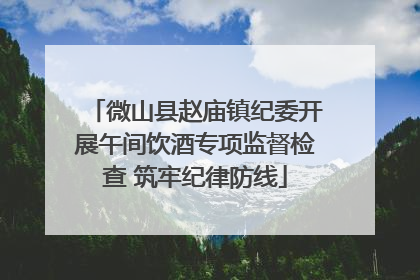微山县赵庙镇纪委开展午间饮酒专项监督检查 筑牢纪律防线
