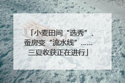 小麦田间“选秀”、蚕房变“流水线”……三夏收获正在进行