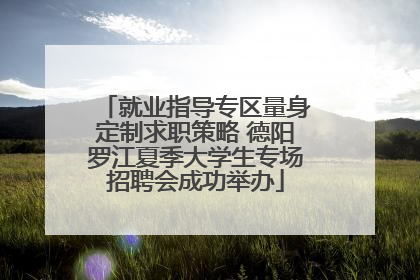 就业指导专区量身定制求职策略 德阳罗江夏季大学生专场招聘会成功举办