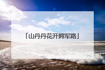 山丹丹花开拥军路