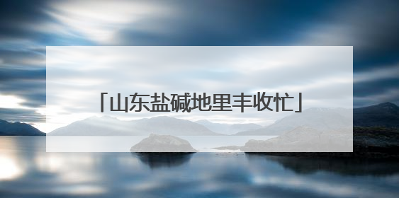 山东盐碱地里丰收忙