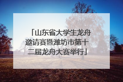 山东省大学生龙舟邀请赛暨潍坊市第十二届龙舟大赛举行