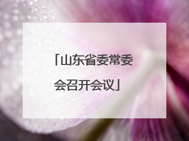 山东省委常委会召开会议