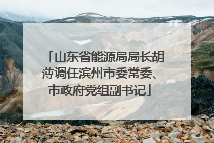 山东省能源局局长胡薄调任滨州市委常委、市政府党组副书记