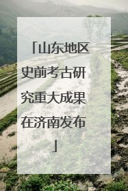 山东地区史前考古研究重大成果在济南发布