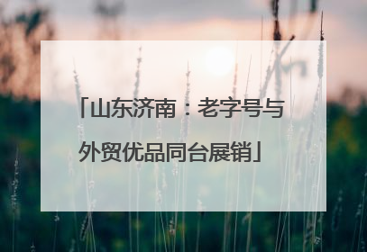 山东济南：老字号与外贸优品同台展销