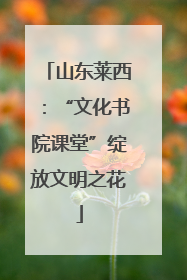 山东莱西：“文化书院课堂”绽放文明之花