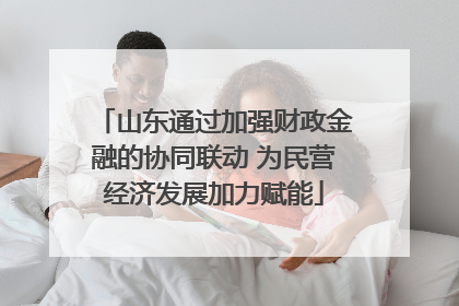 山东通过加强财政金融的协同联动 为民营经济发展加力赋能