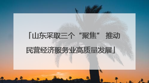 山东采取三个“聚焦” 推动民营经济服务业高质量发展