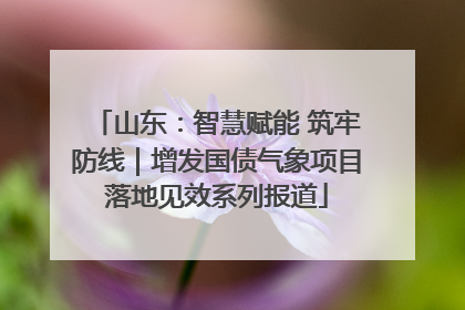 山东：智慧赋能 筑牢防线｜增发国债气象项目落地见效系列报道