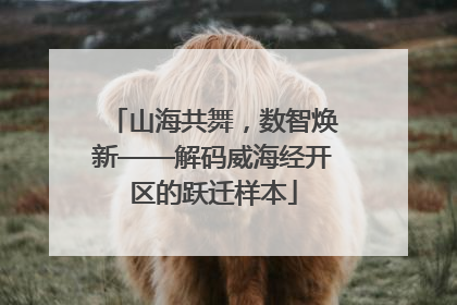 山海共舞，数智焕新——解码威海经开区的跃迁样本