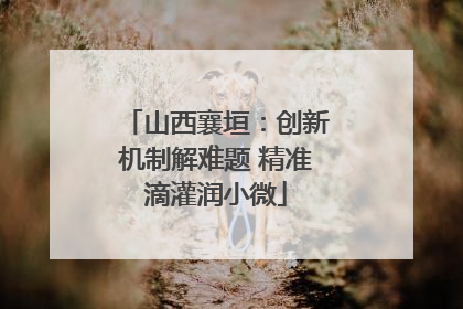 山西襄垣：创新机制解难题 精准滴灌润小微