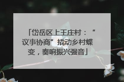 岱岳区上王庄村：“议事协商”撬动乡村蝶变，奏响振兴强音