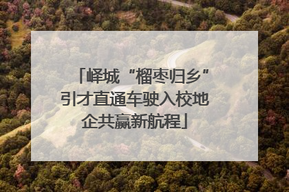 峄城“榴枣归乡”引才直通车驶入校地企共赢新航程