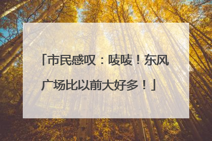 市民感叹：唛唛！东风广场比以前大好多！
