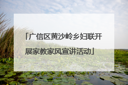 广信区黄沙岭乡妇联开展家教家风宣讲活动