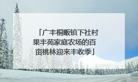 广丰桐畈镇下社村果丰苑家庭农场的百亩桃林迎来丰收季
