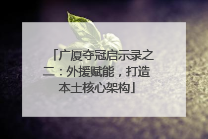 广厦夺冠启示录之二：外援赋能，打造本土核心架构