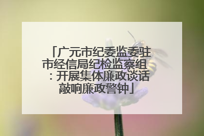 广元市纪委监委驻市经信局纪检监察组：开展集体廉政谈话 敲响廉政警钟