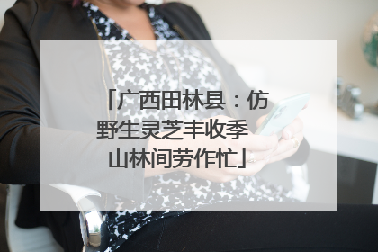 广西田林县：仿野生灵芝丰收季 山林间劳作忙