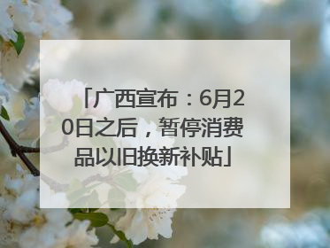 广西宣布：6月20日之后，暂停消费品以旧换新补贴