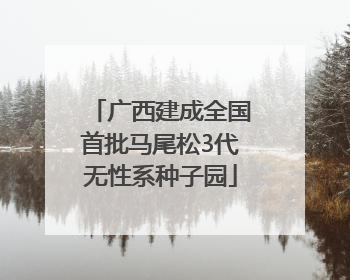 广西建成全国首批马尾松3代无性系种子园