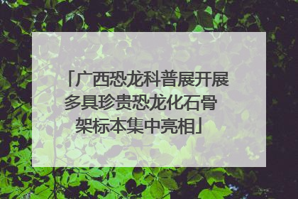 广西恐龙科普展开展 多具珍贵恐龙化石骨架标本集中亮相