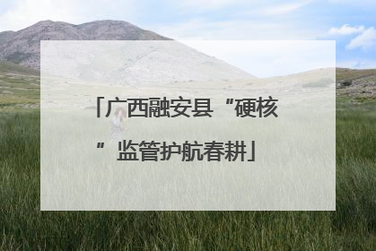 广西融安县“硬核”监管护航春耕