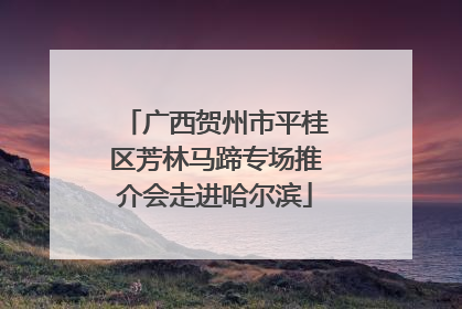 广西贺州市平桂区芳林马蹄专场推介会走进哈尔滨