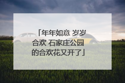 年年如意 岁岁合欢 石家庄公园的合欢花又开了