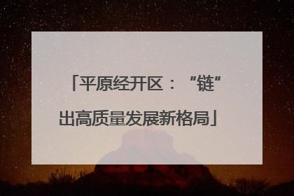 平原经开区：“链”出高质量发展新格局