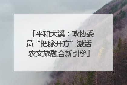 平和大溪：政协委员“把脉开方”激活农文旅融合新引擎