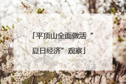 平顶山全面做活“夏日经济”观察