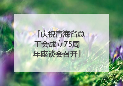 庆祝青海省总工会成立75周年座谈会召开
