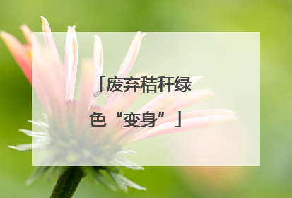 废弃秸秆绿色“变身”